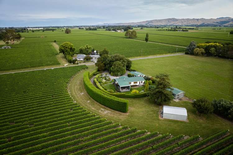 22 Burnside Avenue Springlands_8