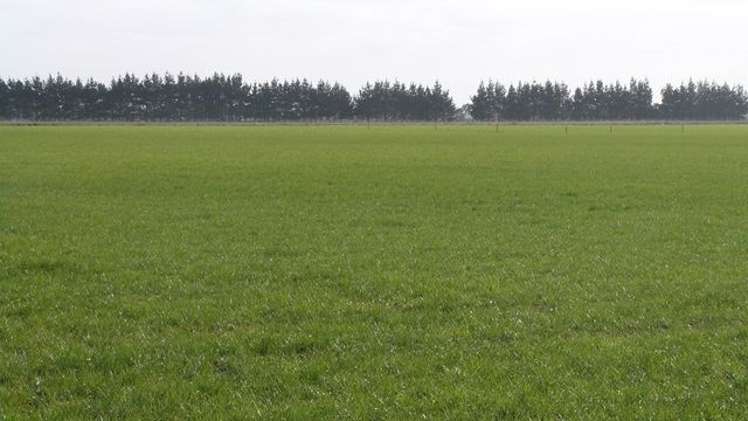 45 Tiwai Road Woodend_3