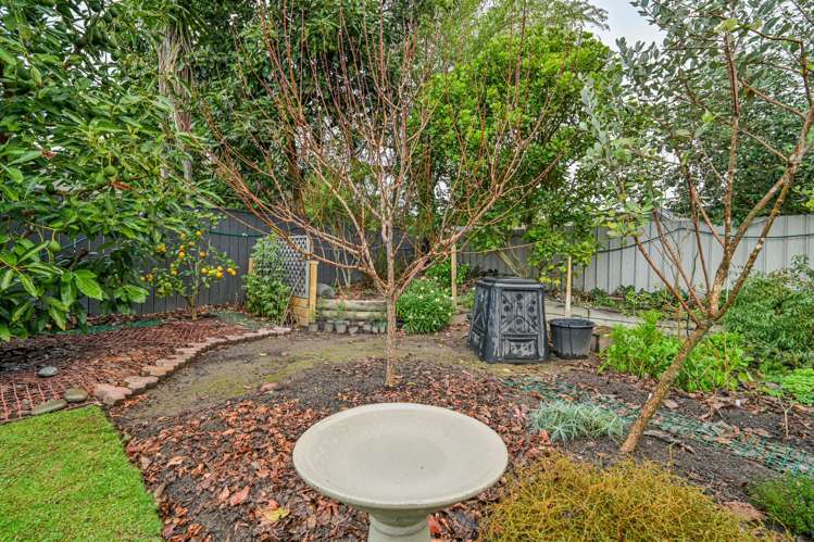 20 Symons Street Parkvale_8