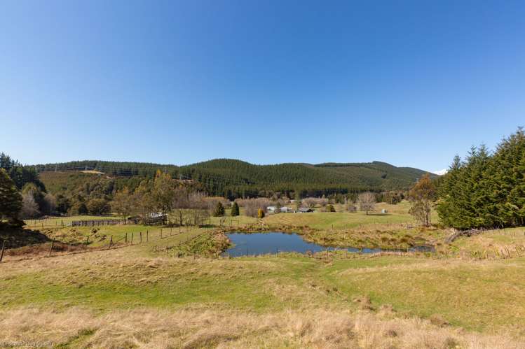 586 Howard Valley Road Kahurangi National Park_20
