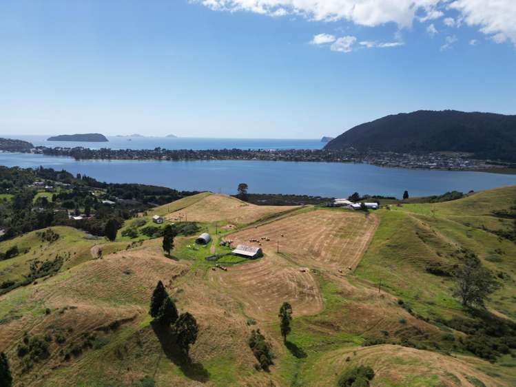 3327 Tairua Sh25 Road Pukepoto_21