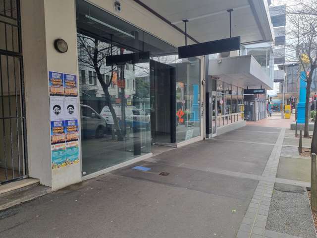 3/30 Cuba Street Te Aro_3