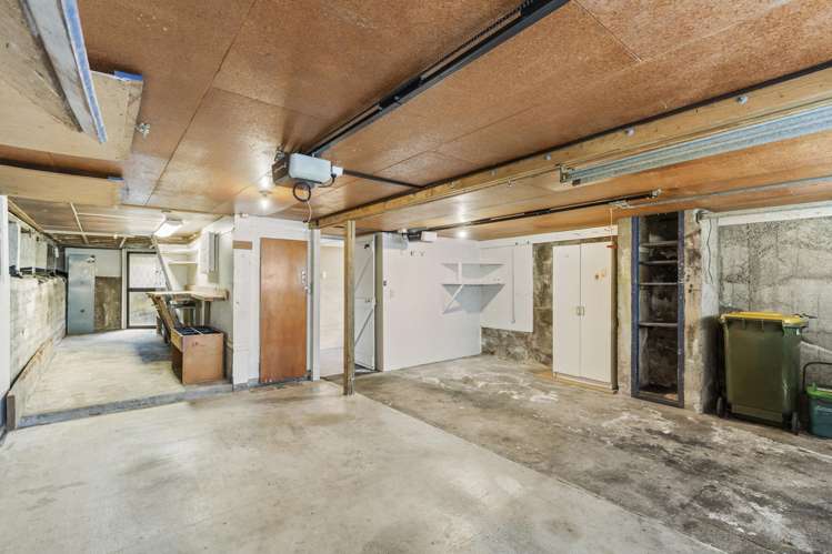 234 Carrington Street Vogeltown_25