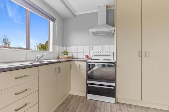 96A Mako Mako Road Levin_1