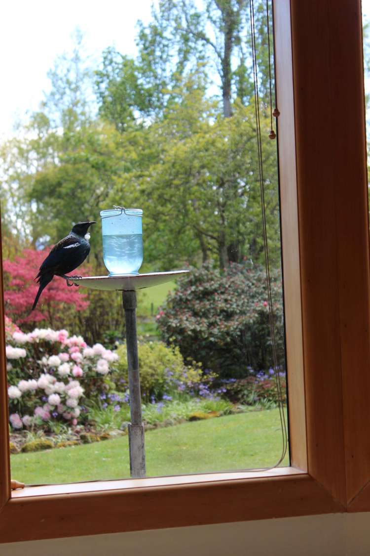 282 Mckenzie Road Browns_8