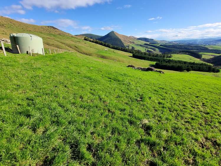 Waiwera Gorge Road Clinton and Surrounds_6