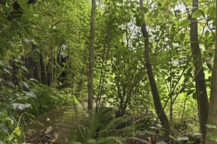 27 Brandon Street Otaki_43