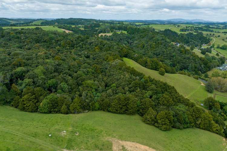 229 Hupara Road Pakaraka_8