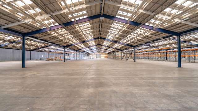 8 Kennedy Place Hillsborough_4