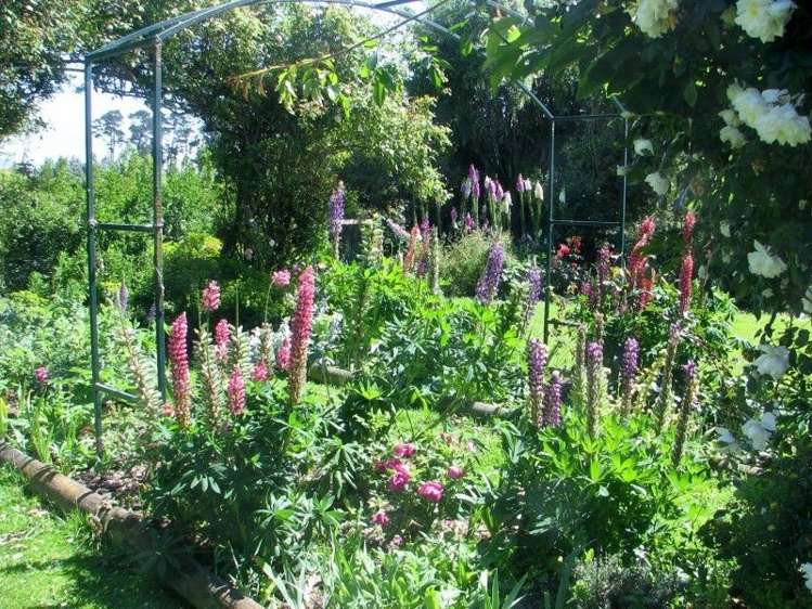 90 Chamberlain Road Upper Plain_15