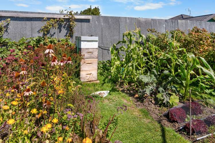 47 Riselaw Street Mairehau_24