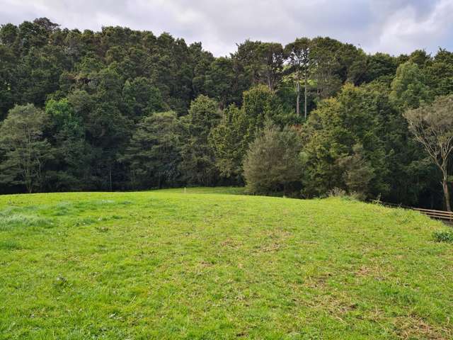 Lot 1/675 Gorge Road Maungaturoto_1