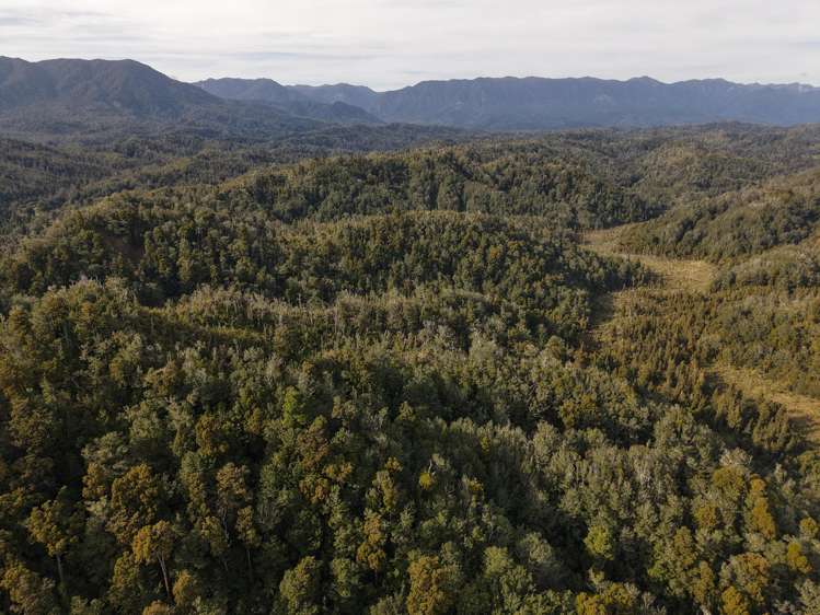 LOT 1 Granite Creek Road Karamea_9