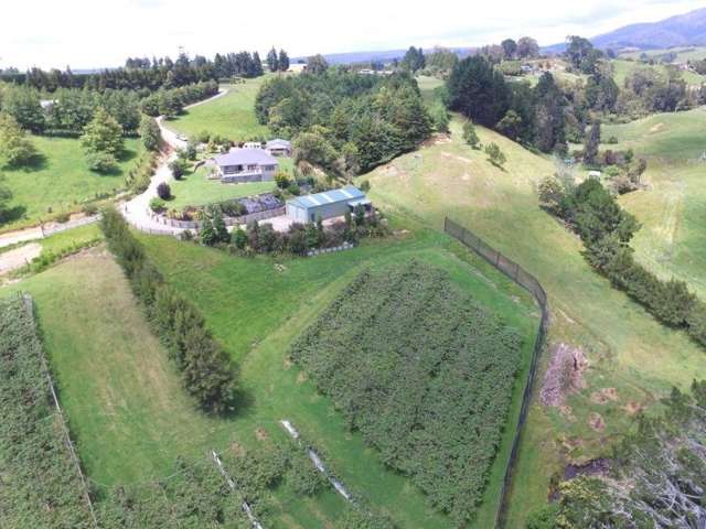 358b Lockington Road Aongatete_1