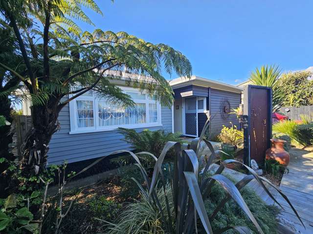 217 Bath Street Levin_1