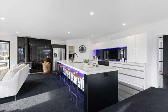 8 Chimera Street Pegasus_3