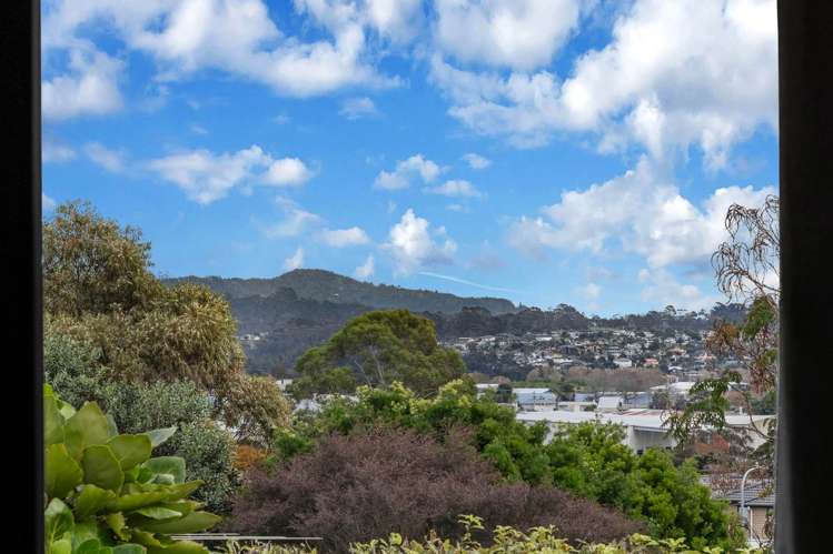 73a Awaroa Road Sunnyvale_27