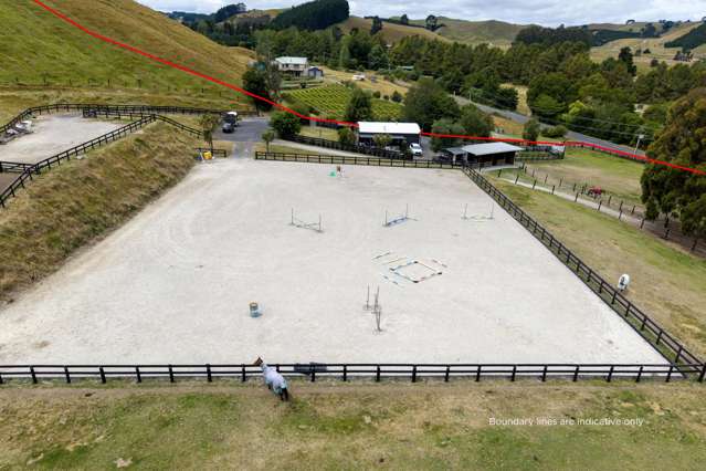 434 Whangamata Road Kinloch_2