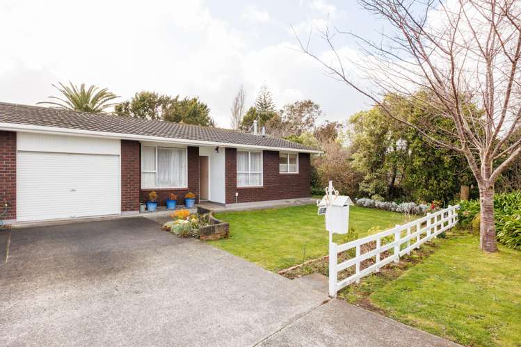 27C Hammond Street Marton_8