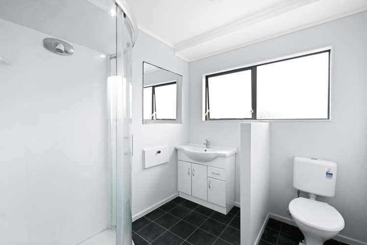 9 Metro Avenue Nawton_7