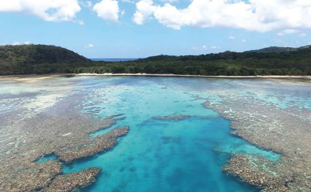 Matana Plantation Koro Island_4