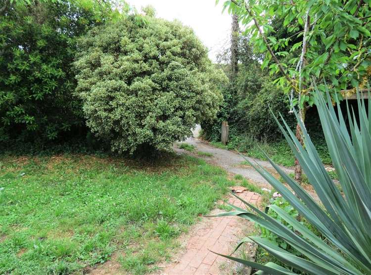 37 Central Road Lower Moutere_17