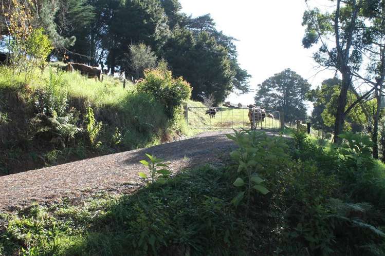 Taraunui Road Parua Bay_12