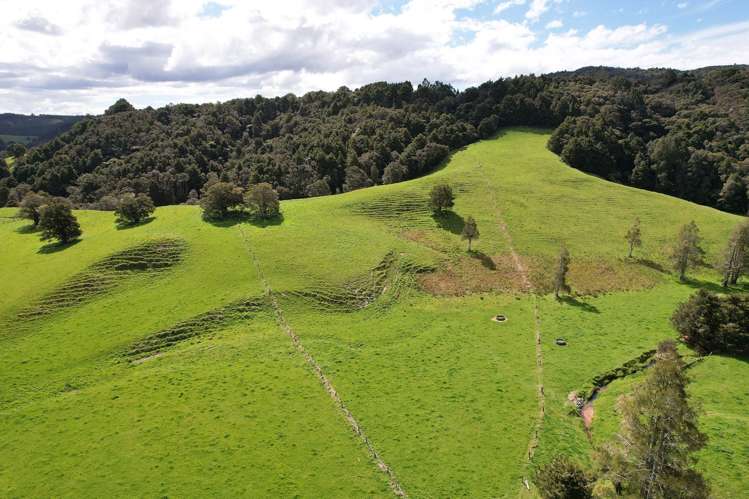 117 Pigs Head Road Whakapara_17