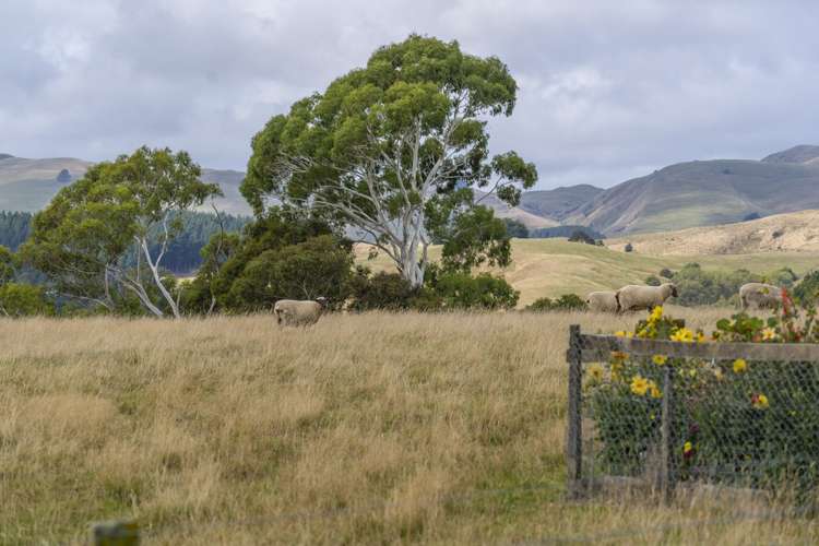 287 West Road Mauriceville_24