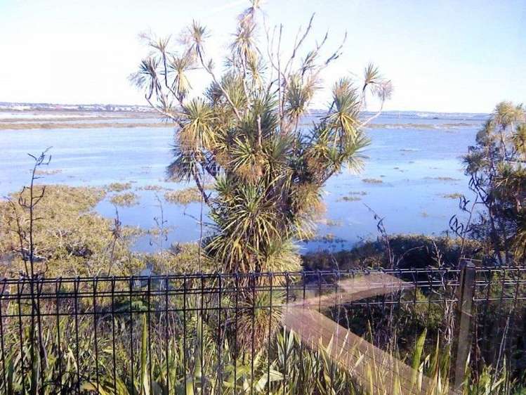 33e Seaside Avenue Waterview_29