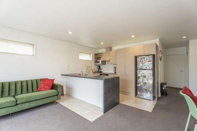 11b Sefton Place Spreydon_2