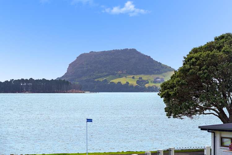 6 Acacia Place Matua_16