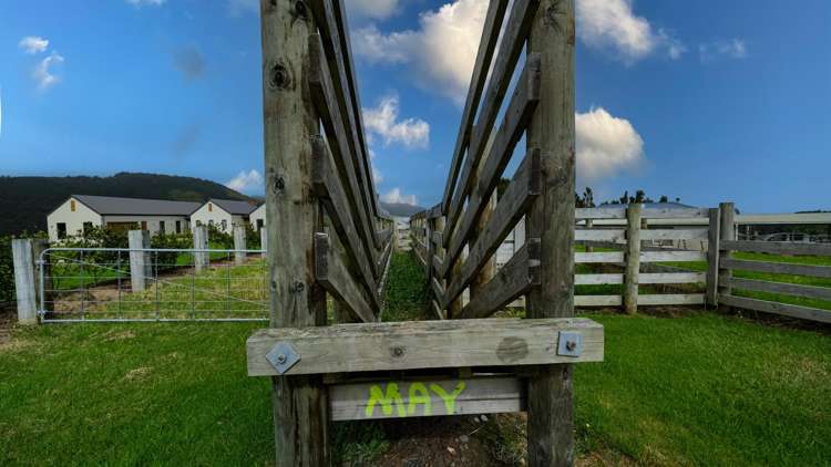 Lot 1 Okahu Road Kaitaia_10