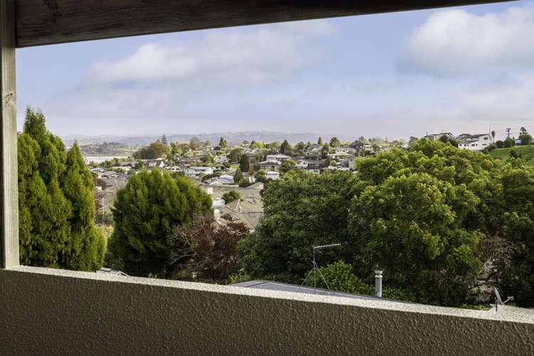 3a Hall Road Matua_21