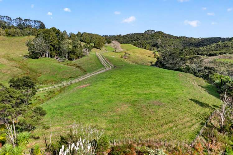 Lot 2 Annett Road Kumeu_8