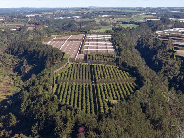 852 Rangiuru Road Rangiuru_3