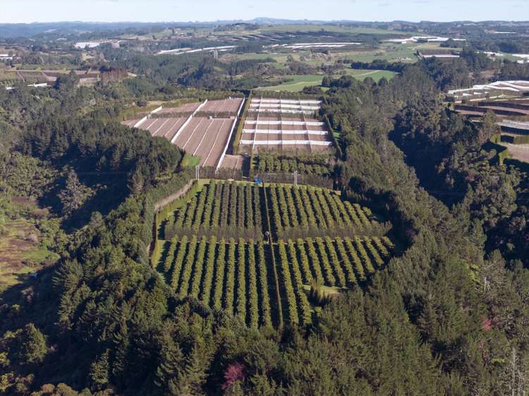 852 Rangiuru Road Rangiuru_20