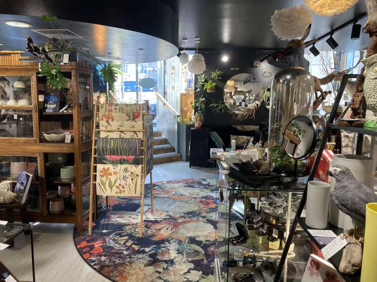 8 Church Street Queenstown_5