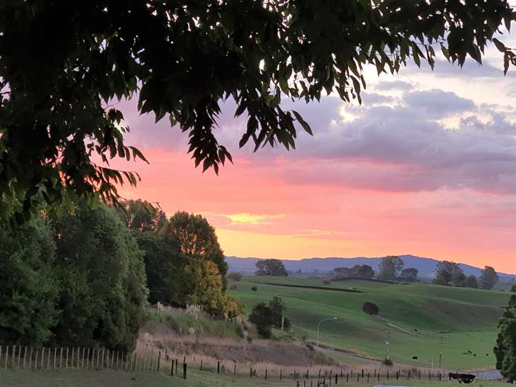 48 Tapapa Road Tapapa_20