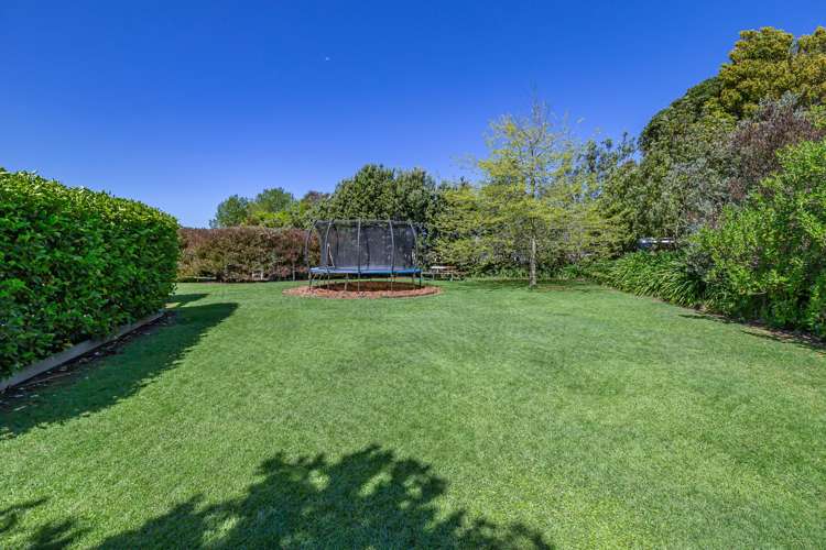 178 The Avenue Levin_20