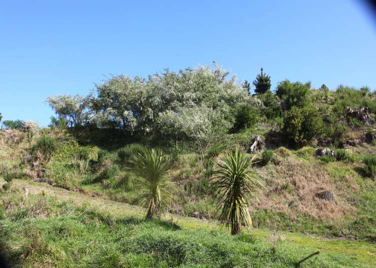 66 Palmer Road Foxton Beach_45