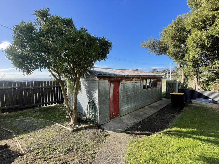 34 Theodore Street Bluff_19