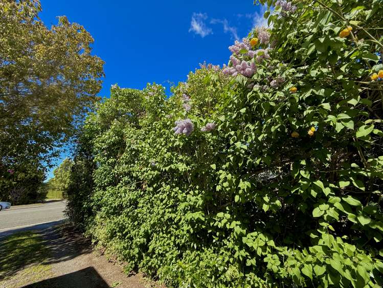 8 Paul Street Waimate_28