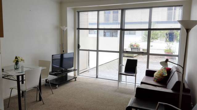 Spacious furnished Apartment with own Courtyard