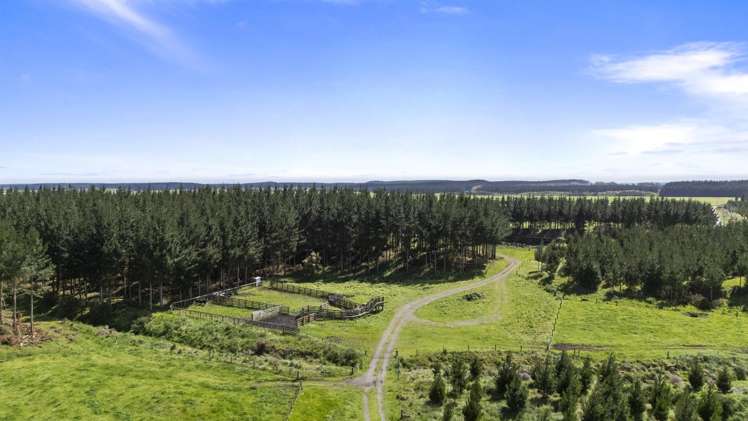 Santoft Road Bulls_18