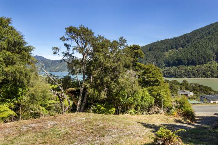 Lot 42 Kaiuma Bay Road Kaiuma Bay_6