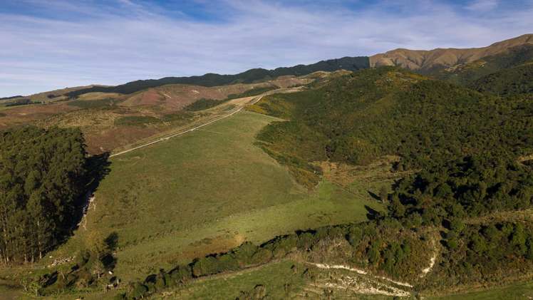 501 Upper Hook Road Hunter_32