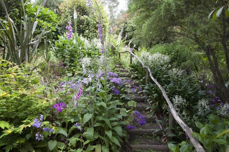 53 Kauaeranga Valley Road Thames_4