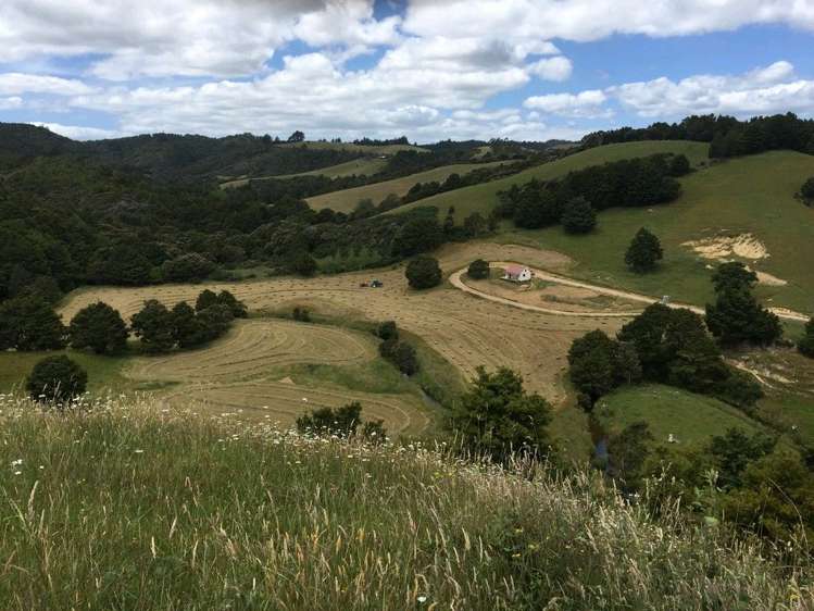361 Kaiikanui Road Hukerenui and Surrounds_17
