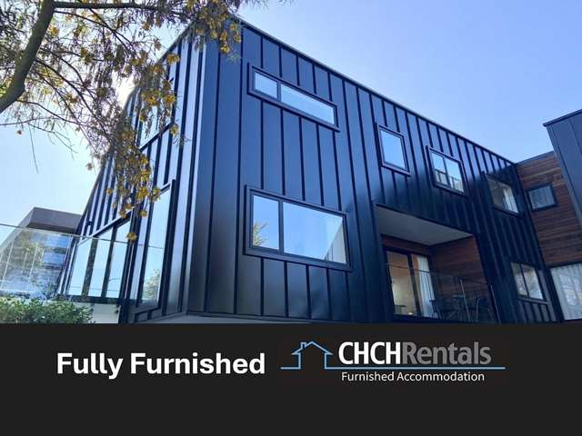Stunning very spacious fully furnished city apartment with gorgeous river views!